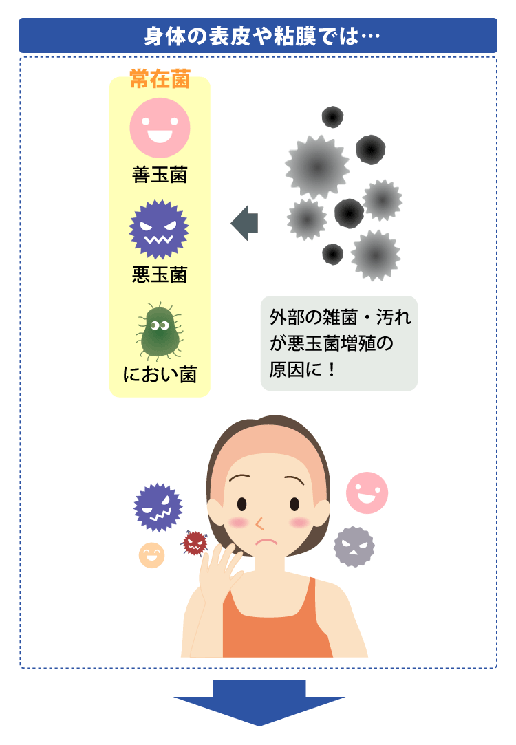 身体の表皮や粘膜では…　外部の雑菌・汚れが悪玉菌増殖の原因に！
