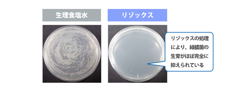 生理食塩水　リゾックス　リゾックスの処理により、緑膿菌の生育がほぼ完全に抑えられている