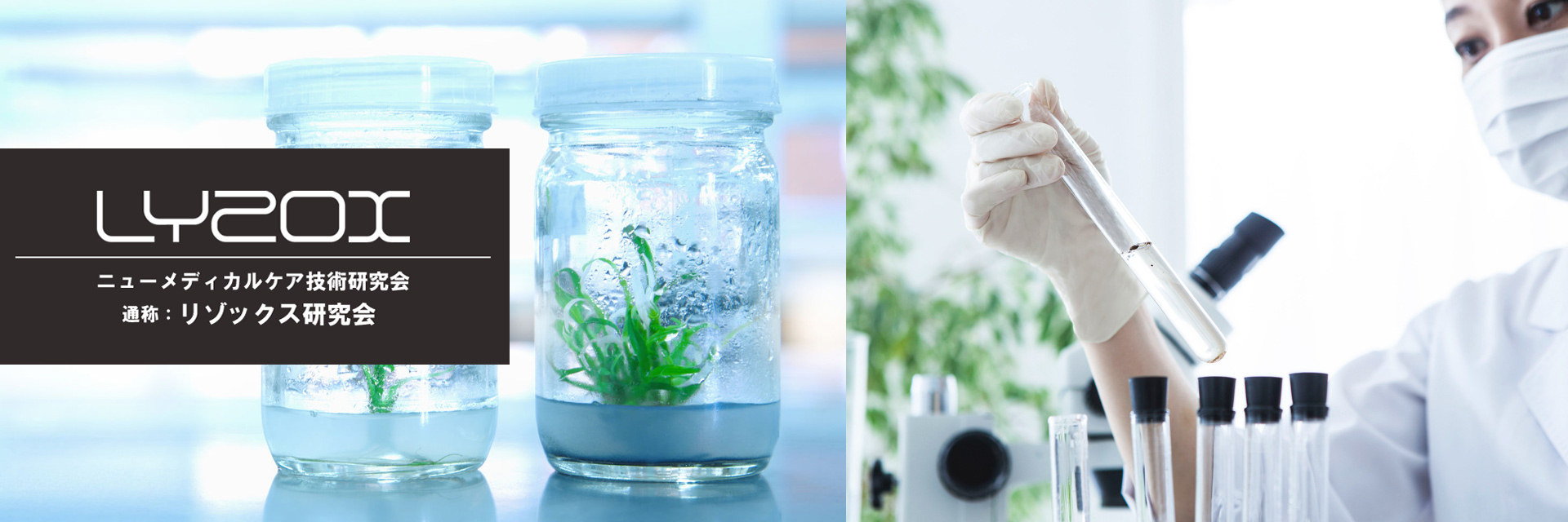 リゾックス研究会(ニューメディカルケア技術研究会)