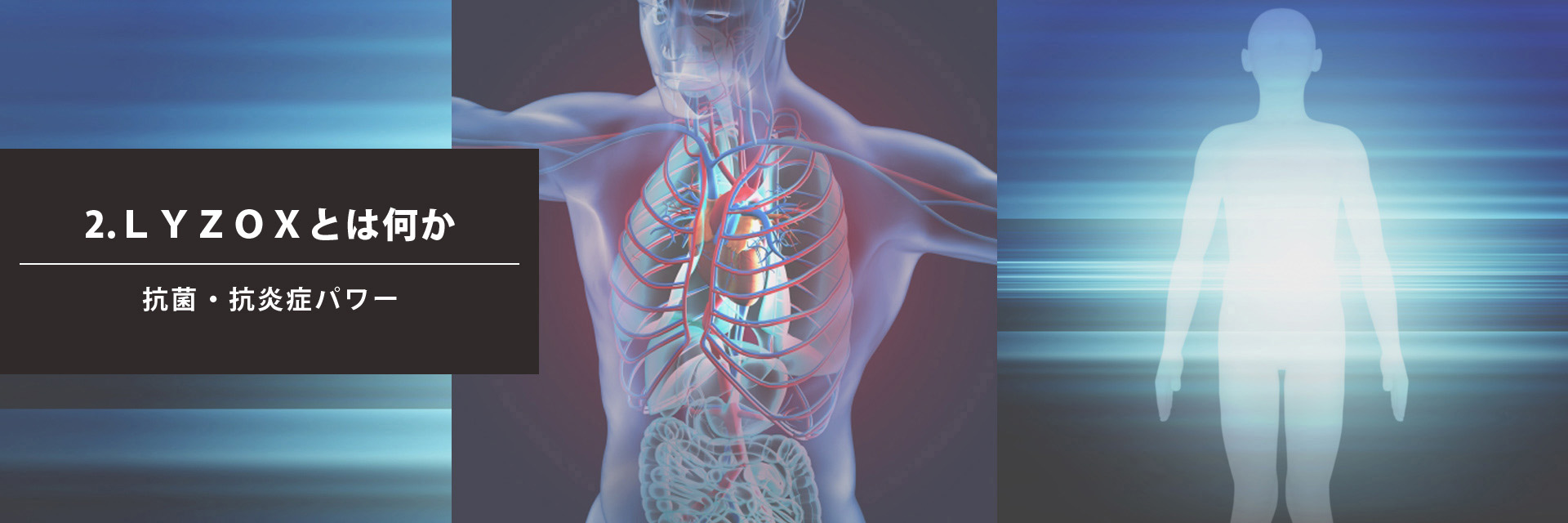 リゾックスとは　抗菌・抗炎症