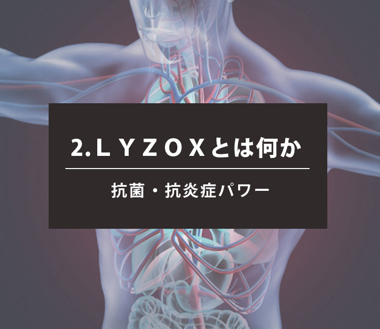 リゾックスとは　抗菌・抗炎症　スマホ