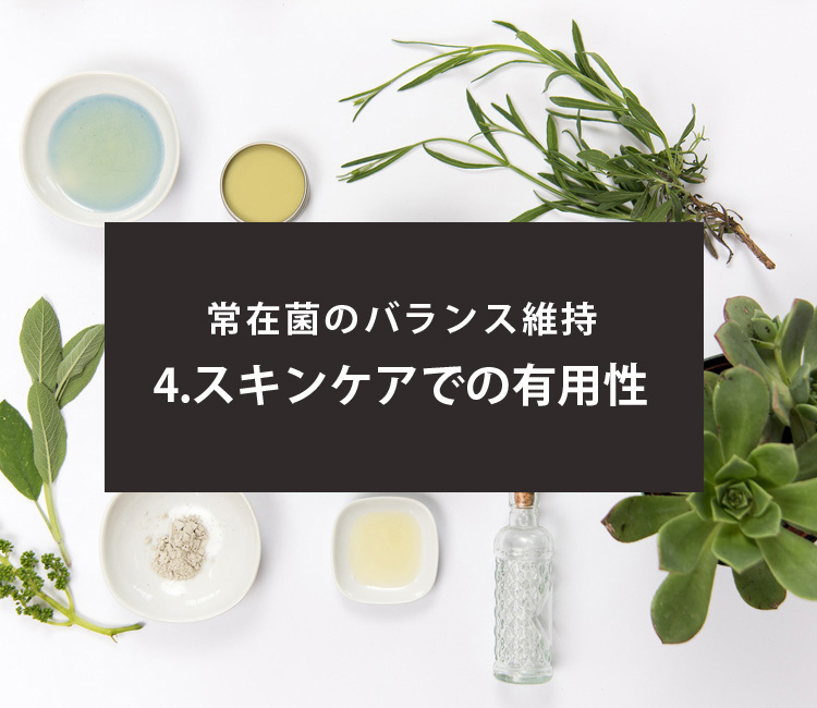 スキンケアでの有用性スマホ